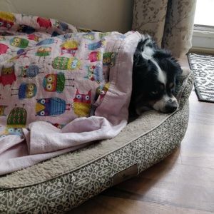 Meet your Posher, Morgan